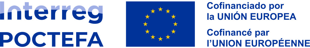 Lanzamiento del proyecto CIMER