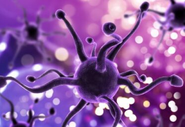 El milagro de la sinapsis silenciosa