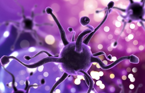 El milagro de la sinapsis silenciosa