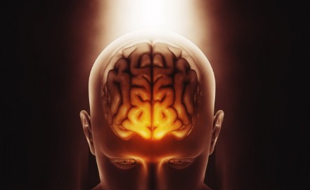 Esquizofrenia: la enfermedad abandonada