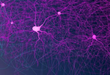 ¿Qué enfermedades trata el neurólogo?