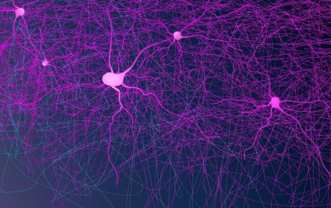 ¿Qué enfermedades trata el neurólogo?
